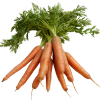 Fresh Organic Carrots With Green Tops Gathered in Bunch on White Background for Healthy Recipes png