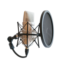 Professional microphone with pop filter and shock mount in a studio setting for recording png