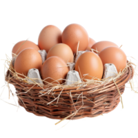 Fresh Brown Eggs in Rustic Basket Surrounded by Straw and Egg Cartons on White Background png
