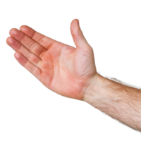 Open Hand Gesture Signifying Welcome or Invitation on Isolated Background png