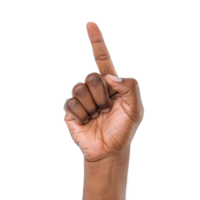 Person Raises Hand with Finger Pointing Upwards Indicating Importance or Request for Attention png