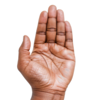 Open Hand Gesture Symbolizing Stop, Pause, or Request for Attention in Diverse Contexts png