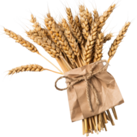 Handcrafted bouquet of golden wheat ears tied with a rustic jute ribbon and paper wrap png
