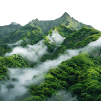 Lush Green Mountains Surrounded by Mist and Fog in a Serene Natural Landscape Setting png