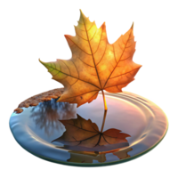 extraordinary classic A fallen autumn leaf floating on a still pond, reflecting the surrounding trees, calm evening light, impressionistic style 4K png