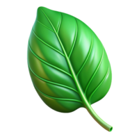 magnificent artistic A single, vibrant green leaf with visible veins, backlit by soft sunlight, botanical illustration style high quality png