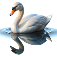 wonderful artistic A graceful swan swimming in a still pond, reflection visible in the water, impressionistic style premium png