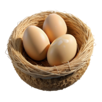 stunning rustic A nest with eggs, delicate construction, natural materials, close-up photography, soft light high resolution png