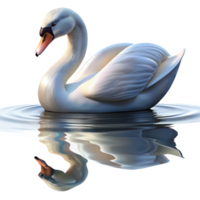 impressive rustic A graceful swan gliding across a calm lake, its reflection shimmering in the water, in a serene, painterly style exclusive png