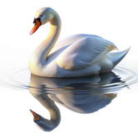 magnificent modern A graceful swan gliding across a calm lake, its reflection shimmering in the water, in a serene, painterly style premium png
