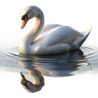 dramatic rustic A graceful swan gliding across a still lake, reflection visible in the water, soft morning light, impressionistic style 4K png