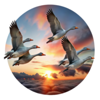 elegant rustic A flock of migrating geese flying in a V formation against a dramatic sunset sky, in a classic, painterly style professional png