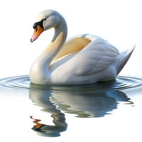 dramatic artistic A graceful swan gliding across a still lake, reflection visible in the water, serene and peaceful, photorealistic render detailed png