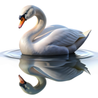 wonderful abstract A graceful swan gliding across a still lake, reflection visible in the water, serene and peaceful, photorealistic render detailed png