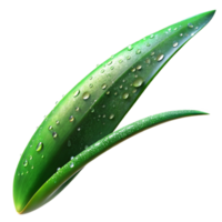 impressive artistic A close-up of a dew-covered blade of grass, sparkling in the sunlight, macro photography style exclusive png