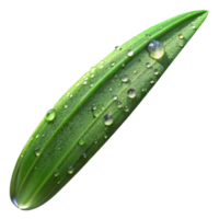 dramatic traditional A close-up of a dew-covered blade of grass, sparkling in the sunlight, macro photography style premium png