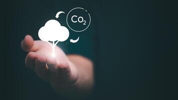 Plants must exchange carbon dioxide at night and oxygen during the day. Ideas for reducing carbon emissions for environmental conservation, green business, and sustainable environmental development. photo