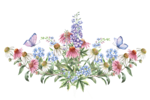 Central curved composition of flowers echinacea, forget-me-nots, delphinium and butterflies. Isolated watercolor illustration of flowers for textile design, printing on fabric and clothes, posters. png