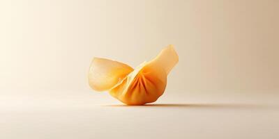 A single dumpling rests on a neutral and light surface photo