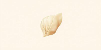 The isolated image showcases a delicate and subtle flower petal photo