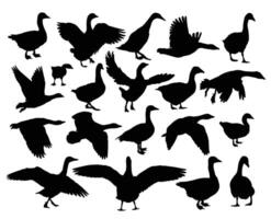 The set silhouettes of geese. vector