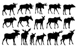The set silhouettes of forest moose. vector