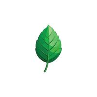 Fresh Botanical Green Leaf Design in Minimalist Style vector
