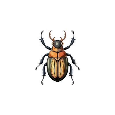 Vintage Beetle Engraving Style Illustration Design