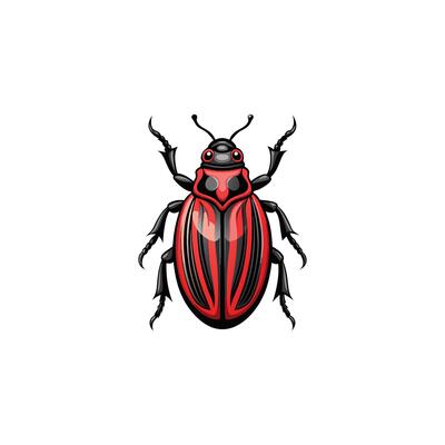 Detailed Beetle Insect Illustration Design on White Background
