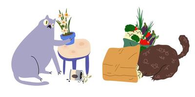 Cartoon cat characters left unattended make a mess, break pots of indoor plants and tear open packages vector