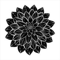 Flower With Dew Drop vector