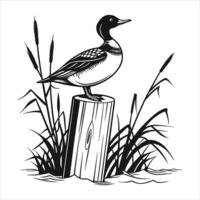 of Duck filled with nature vector
