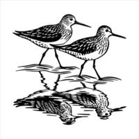 Set of Dunlin Fun Linocu vector