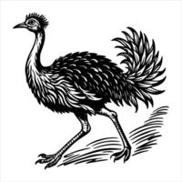 Greater Rhea Bird vector