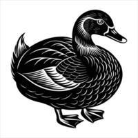 Duck preening its feathers vector