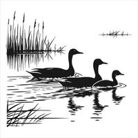 A group of ducks swimming in a pond vector