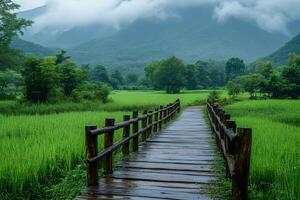 Wooden bridge crossing rice paddy fields in the rain with foggy mountains in the background photo