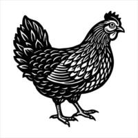 Chicken Head Side vector