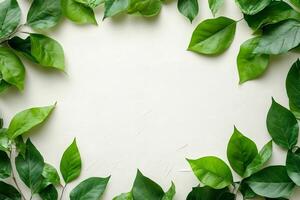 Green leaves bordering neutral textured background creating copy space photo