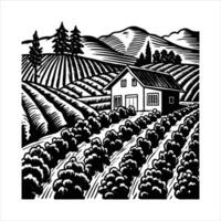 Vineyard With Grapevines vector