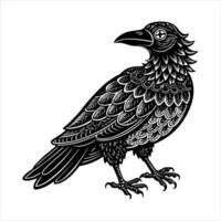 Vintage Crow Clipart vector