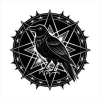 White raven and pentagram vector