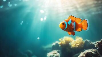 A fish with its stunning and unique colors photo