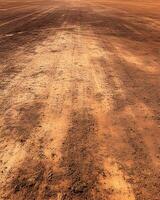 Earthy Texture of a Freshly Prepared Field with Drag Marks in View photo