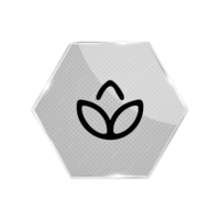A flat and white hexagon button with a leaf on it png