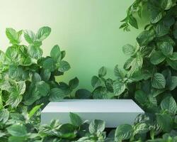 An empty box surrounded by green plants photo