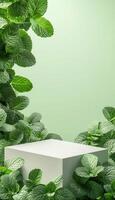 Mint leaves and green box on a green background photo