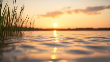 Serene Sunset Over Calm Water with Golden Reflections photo