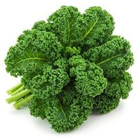 Fresh kale leaf on white background, Juicy sprout with dew drops. Ideal for culinary projects and healthy food advertising. For balanced diet and natural lifestyle. photo