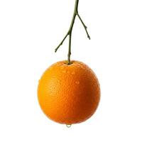 Juicy orange on a branch with dew drops on a white background. Fresh and appetizing, perfect for culinary projects and healthy food advertising. photo